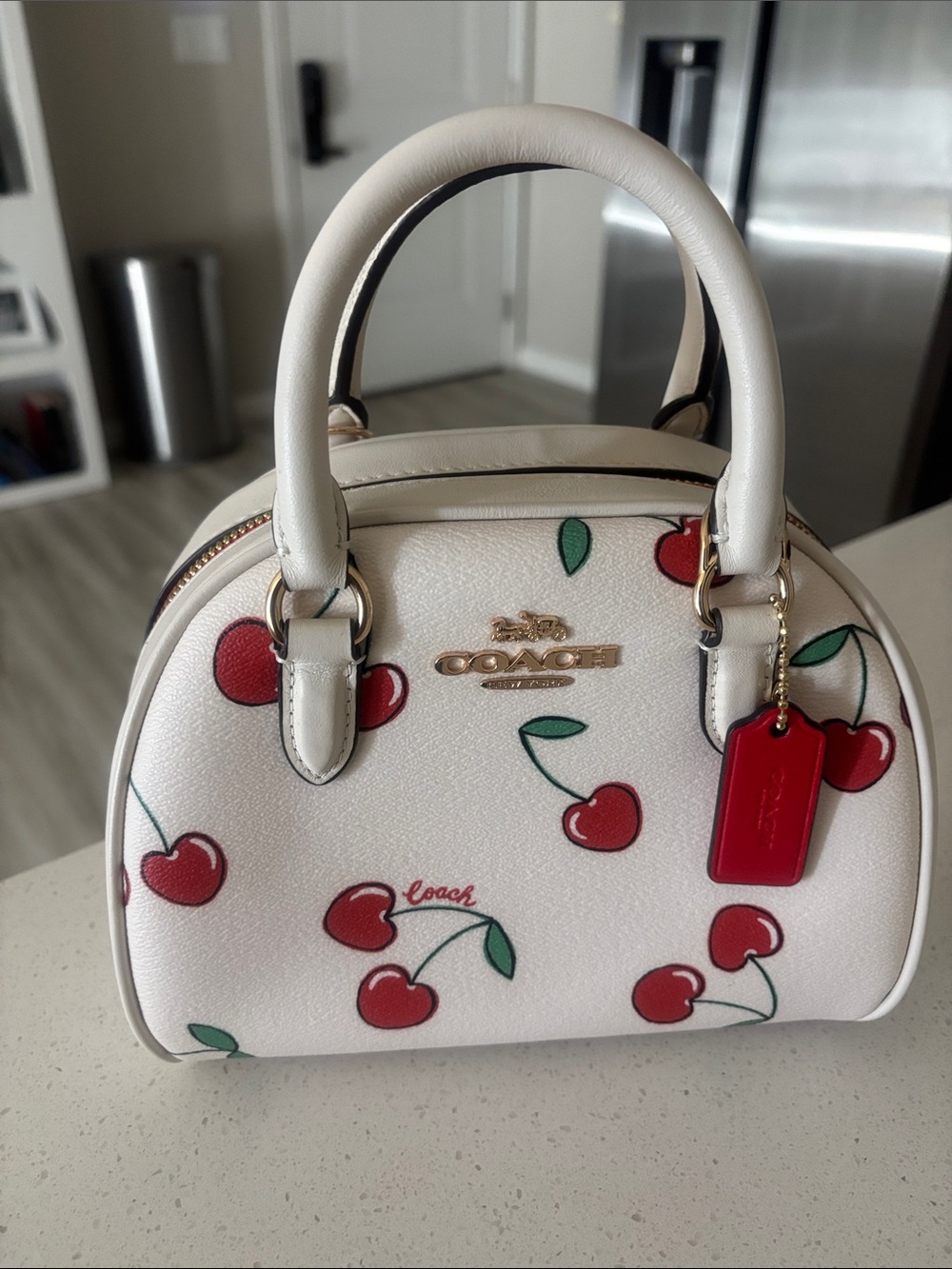Coach White Leather Mini Satchel with Red Cherry Print